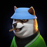 NFT project "Bored Doge Club"